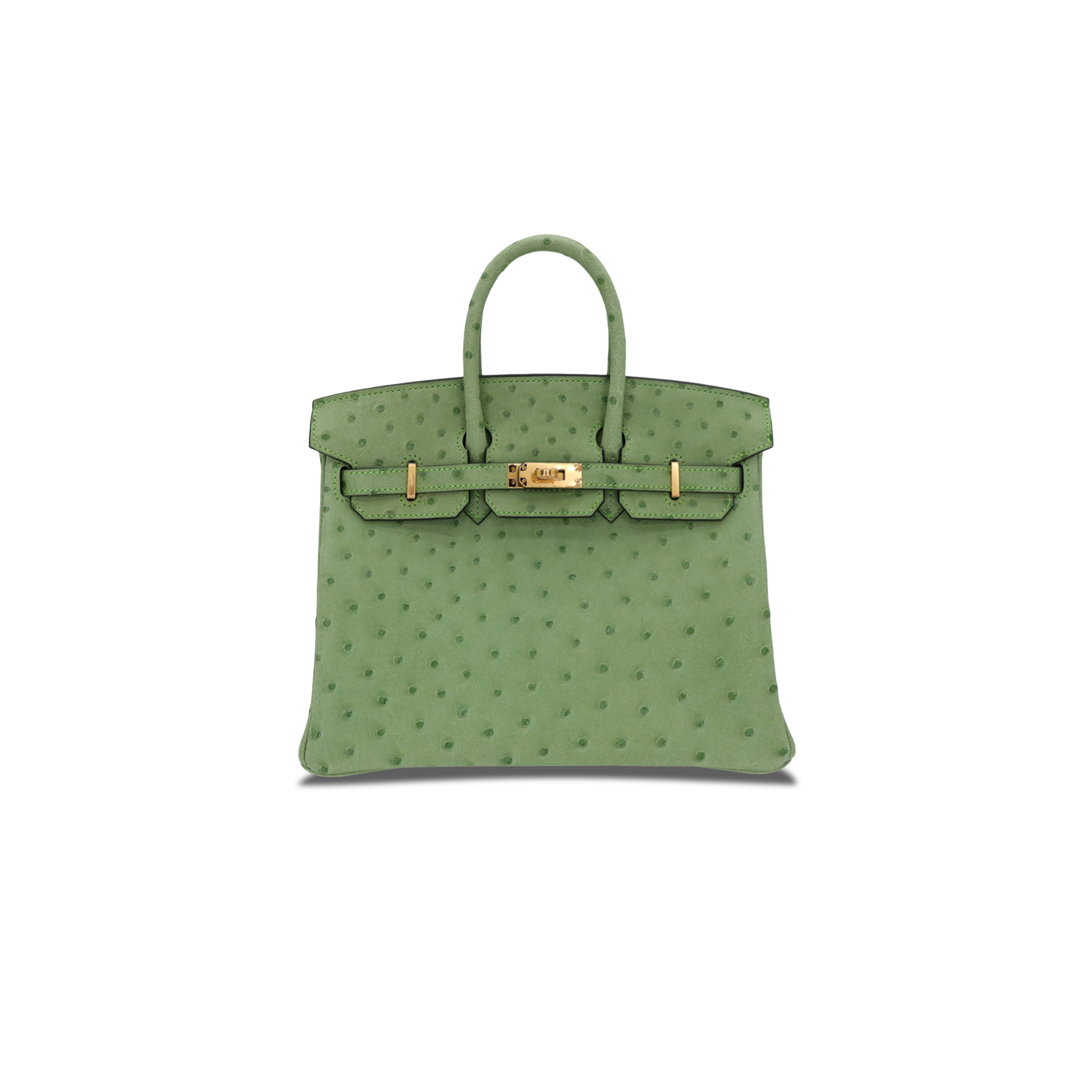 HERMÈS MASTER BIRKIN 25 OSTRICH LEATHER ICE CREAM GREEN GOLD BUCKLE H041944CK76 (25*20*13cm)